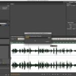 Fun With Video: Metadata & Transcription Software