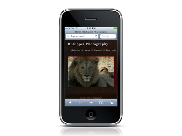 Barbara Levy Kipper New Mobile Site Home Page