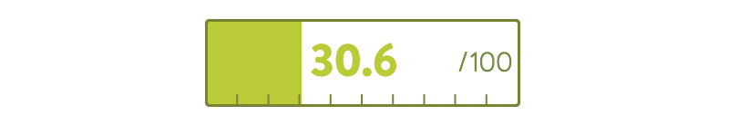 Internet Sustainability: Average page speed score of URLs crawled by Ecograder = 30.6