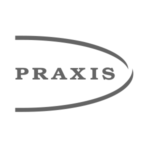 Praxis Consulting logo