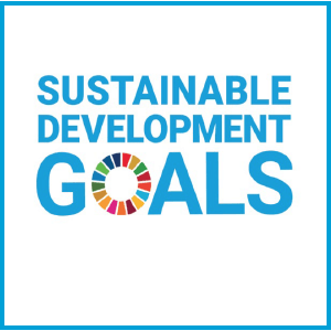 Sustainable Development Goals featured image