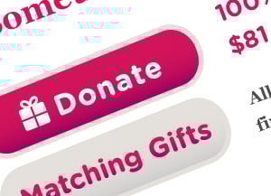 screenshot of donate button