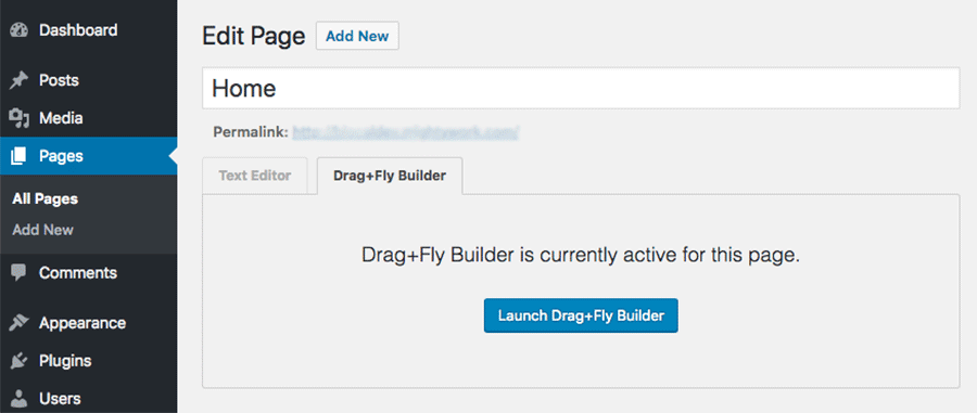 How to launch Drag+Fly from WordPress