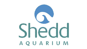 Shedd Aquarium