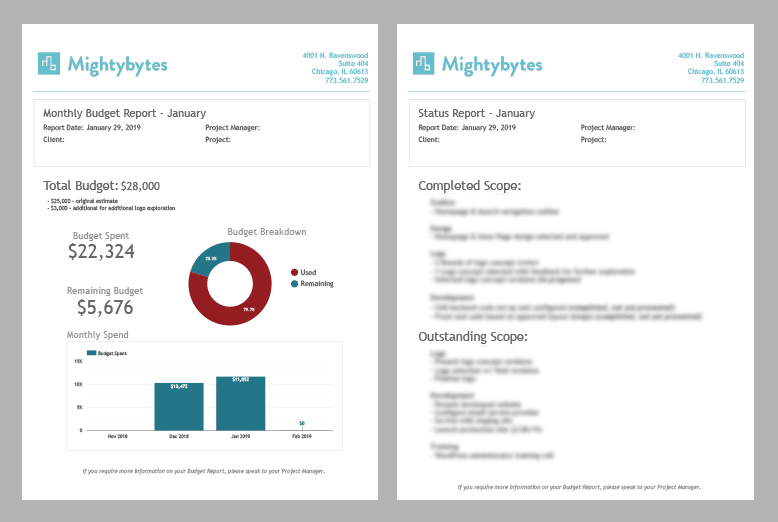 project budget report examples
