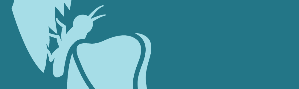 Graphic illustration of a butterfly coming out of a cocoon.