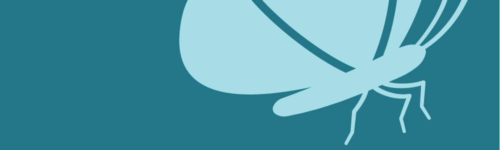 Graphic illustration of a butterfly getting ready to fly.
