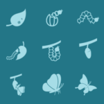 How to Design a Sustainable Data Strategy