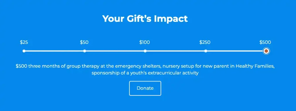 Donation slider. Reads, "Your Gift's Impact." Features a selectable slider at $25 intervals that explain the impact of the donor's contribution.